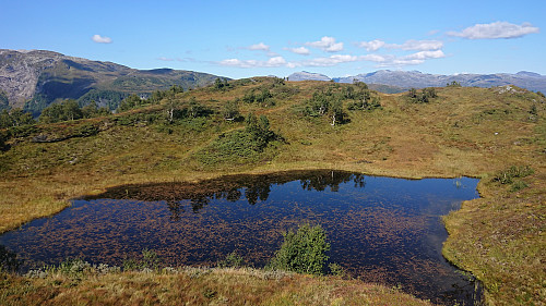 Storlinuten