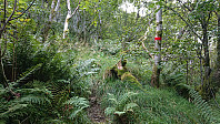 Marked trail up Henangerskaret