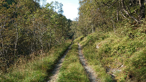 The tractor road down to Bakka and Medhus