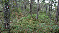 Marked trail to Bjørnåsen