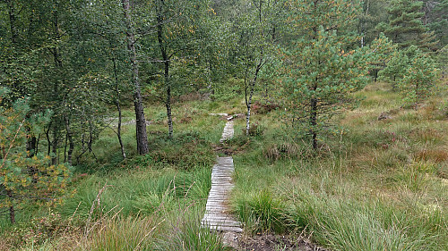 Trail from Tereleitet to Hamresåta