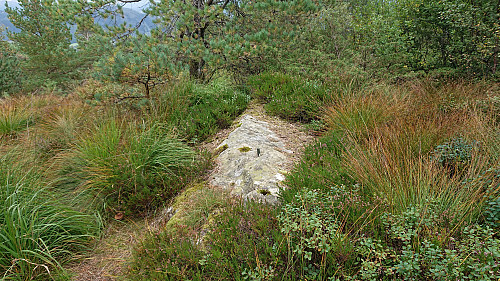 The trig marker at Hamresåta