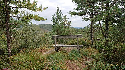 The bench at Hamresåta