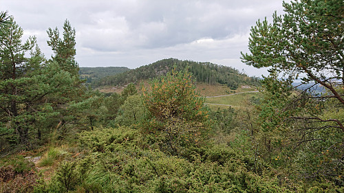 Towards Fanasåta/Naknekampen from Hamresåta