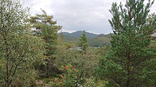 Towards Lyshornet from Hamresåta
