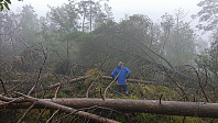 Lots of fallen trees to traverse