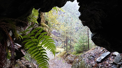 Looking out from the small cave next to the road above Fossåskaret