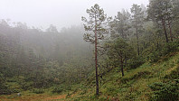The fog gets thicker...