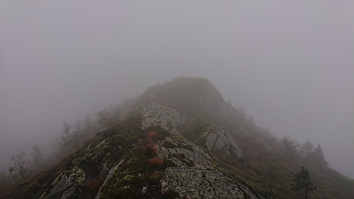 East from the summit towards the cairn