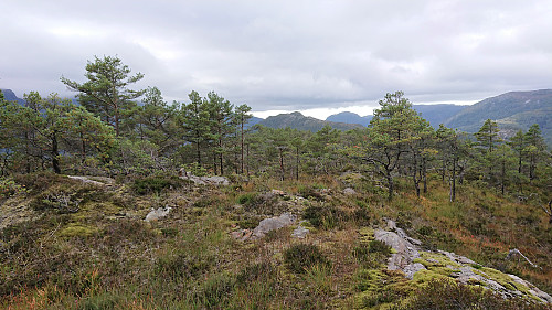 The summit of Kjerringefjellet with Heinakken in the background