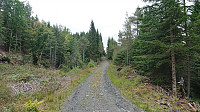 The tractor road to the bench