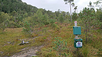 The start of the marked trail