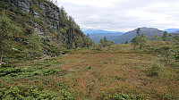 Trail to Nessteinen