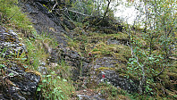 Short scrambling section