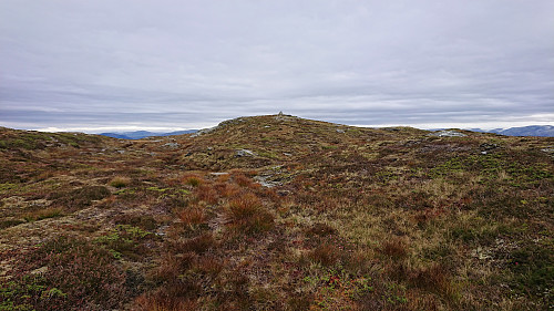 Approaching the summit of Nessteinen