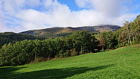 Tørvikenuten from Tørvik