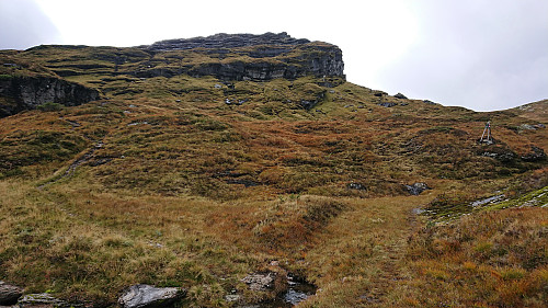 Looking back at where I lost the trail on the ascent. Tip: ignore the signs and head directly left.