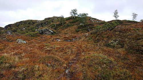 On the way to Mjølausa