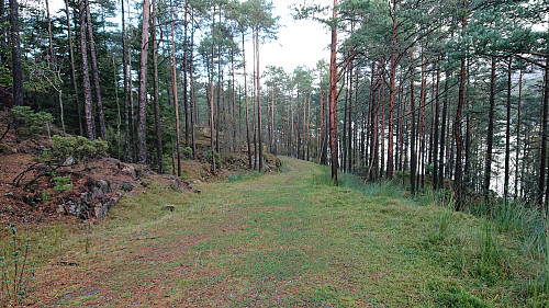 Grass-covered road east of Storhaugen