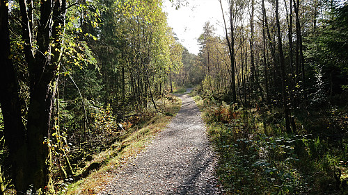 Gravel road east of Småvatnet
