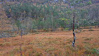 Marked trail from Straumsstølen