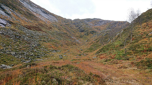 The route up to Tofjellet from Dyvikstølen