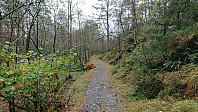 Gravel road south of Vardehaugen