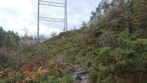 Trail towards Bjørnhaugen