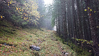 The tractor road further up