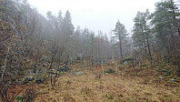 At the top of Skori