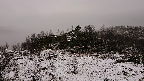 Approaching the summit of Lauvhovden