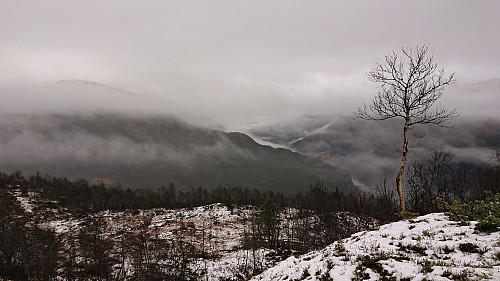 Raundalen from Lauvhovden with Storebottseggi to the left