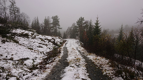 The road down from Singeset