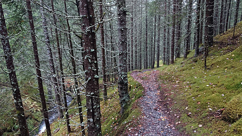 One of the nicer sections of Gamle Raundalsvegen