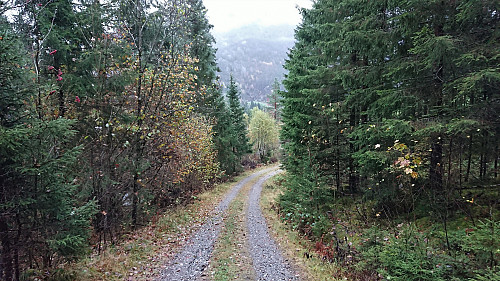 The gravel road back to the car