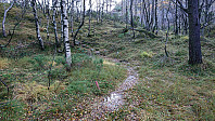 Trail north of Kattnakken