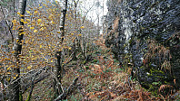 Trail towards Sakresvatn