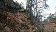 Trail towards Sakresvatn