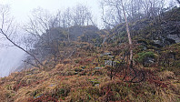 Trail next to Fjellfossen