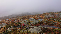 On the way to Torhaugen