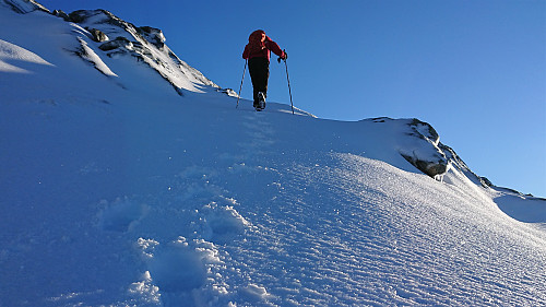 Petter leading the way towards Sødalseggene