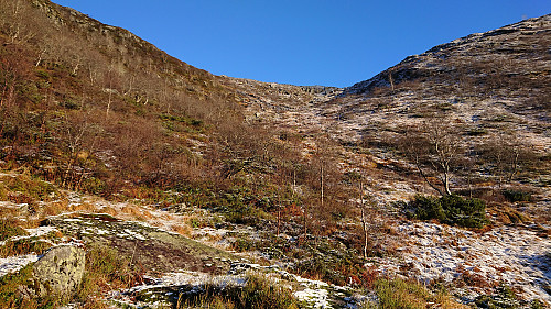 Approaching the marked trail to Fjellet