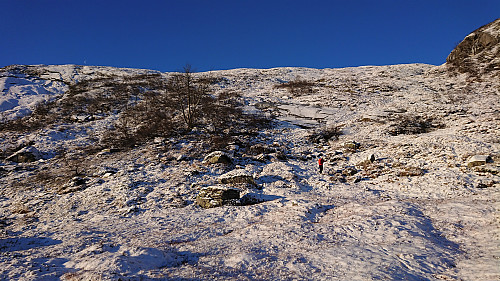 The start of our off-trail ascent to Bjørnshiklanten