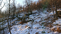 The unmarked start of the trail