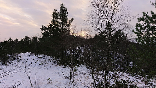 Following the ridge towards the summit of Fjellet