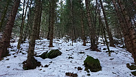 Start of the off-trail ascent