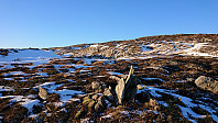 The summit in the distance