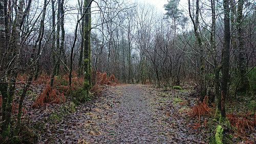 The road east of Hetlevikåsen