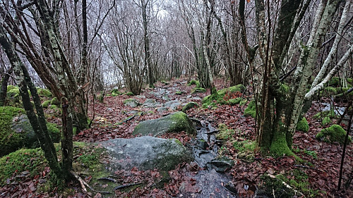 The trail down to Gamle Mathopsvegen