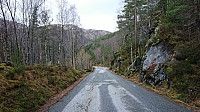 Road towards Haugsdal